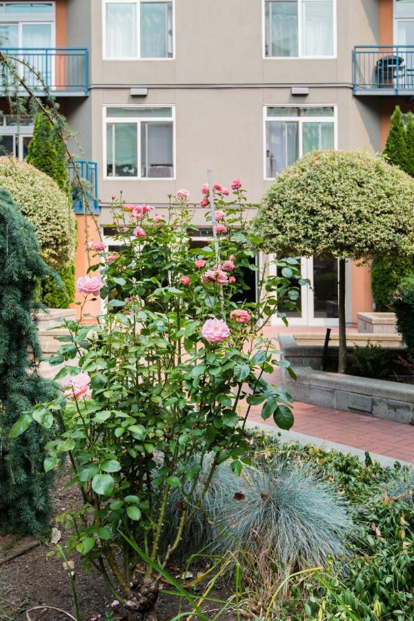 City Water View Oasis With Pool & Gym Near Cruise In Heart Of Seattle Eksteriør billede